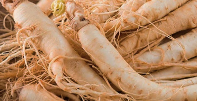 Ginseng rojo